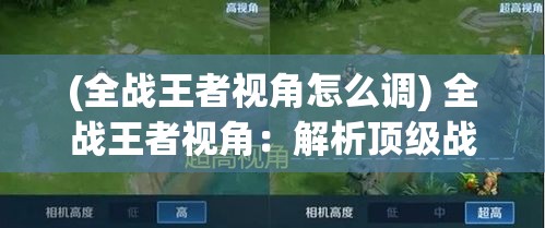 (全战王者视角怎么调) 全战王者视角：解析顶级战略布局，掌握战场主导权的关键要素