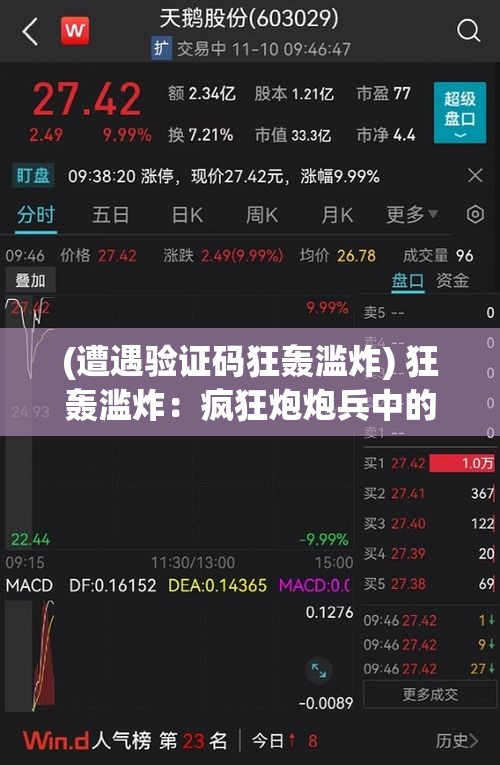 (遭遇验证码狂轰滥炸) 狂轰滥炸：疯狂炮炮兵中的荣耀与挑战，一场策略与运气的较量